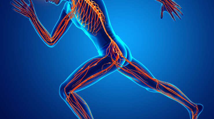 Caratteristiche neuromuscolari della forza massima (fmax) e della forza dinamica massima (fdm)